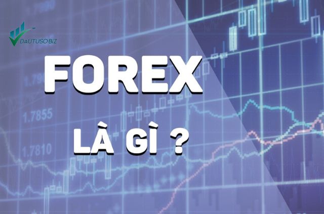 đầu tư forex là gì