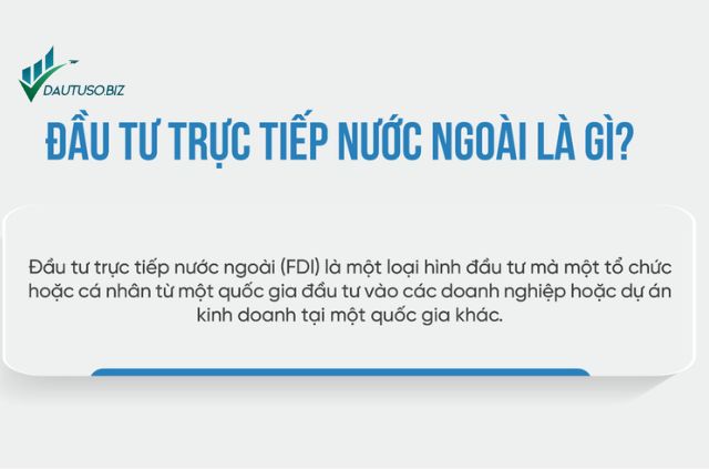 Các Yếu Tố Ảnh Hưởng Đến Quyết Định Đầu Tư Trực Tiếp Nước Ngoài